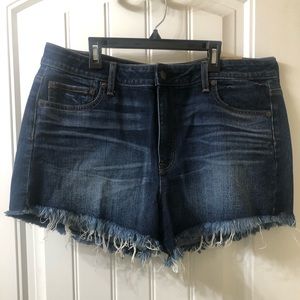 American Eagle Denim Shorts